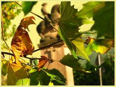 Herbstfarben-Denkmal