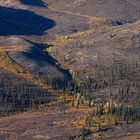 Herbstfarben des Yukon