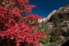 Herbstfarben des Zion