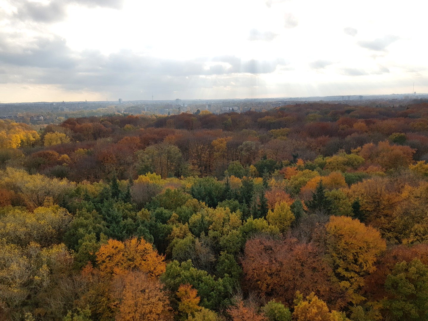 Herbstfarben