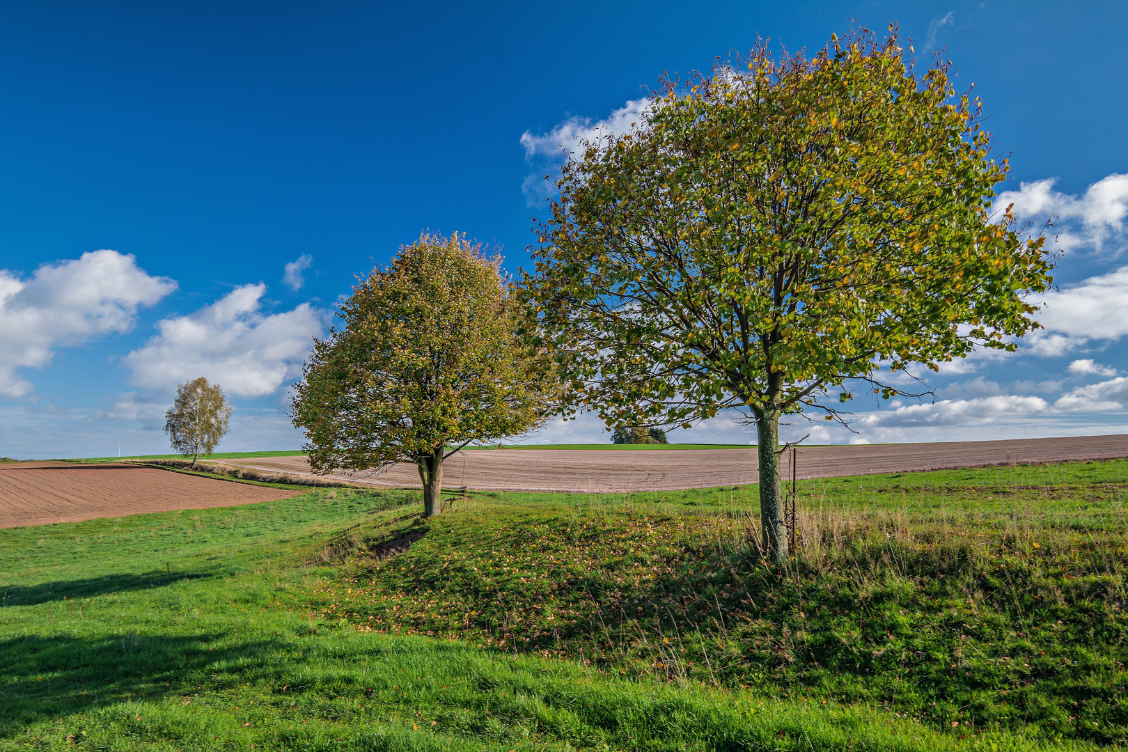 Herbstfarben