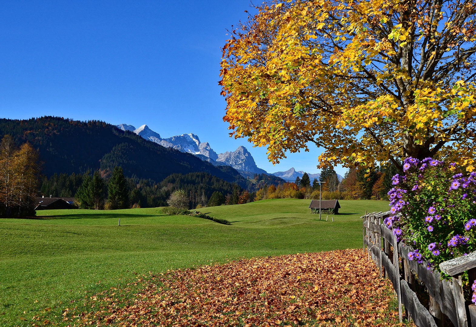 Herbstfarben