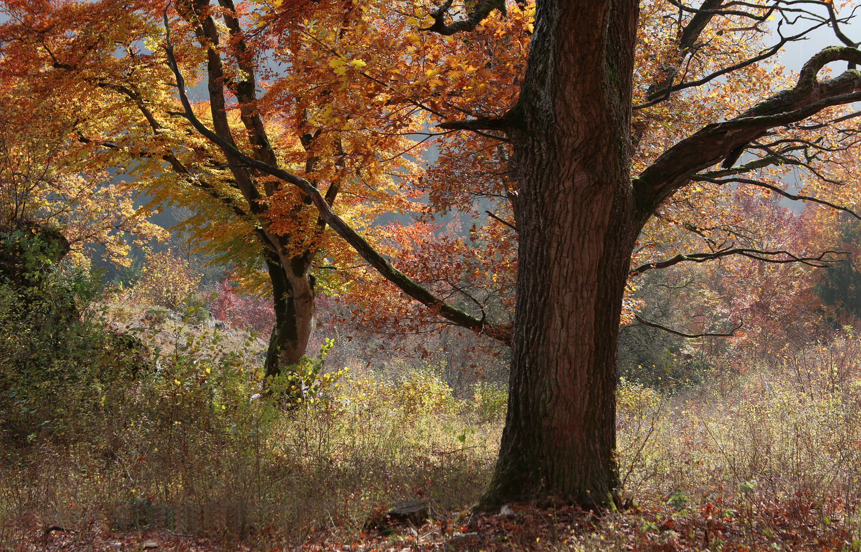 Herbstfarben