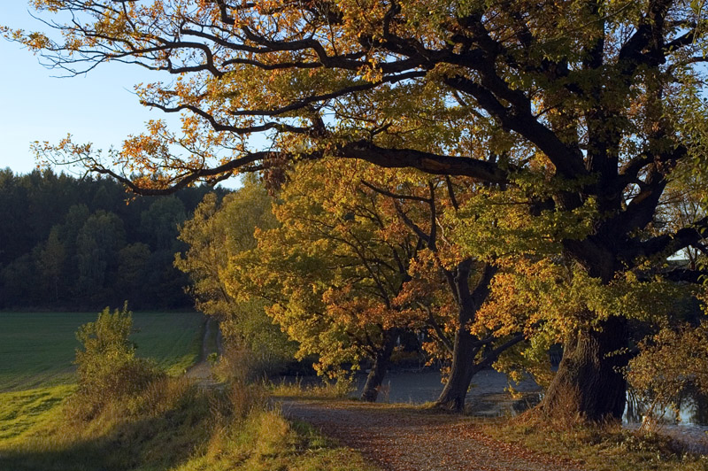 Herbstfarben