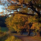 Herbstfarben