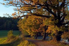 Herbstfarben