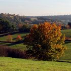 Herbstfarben