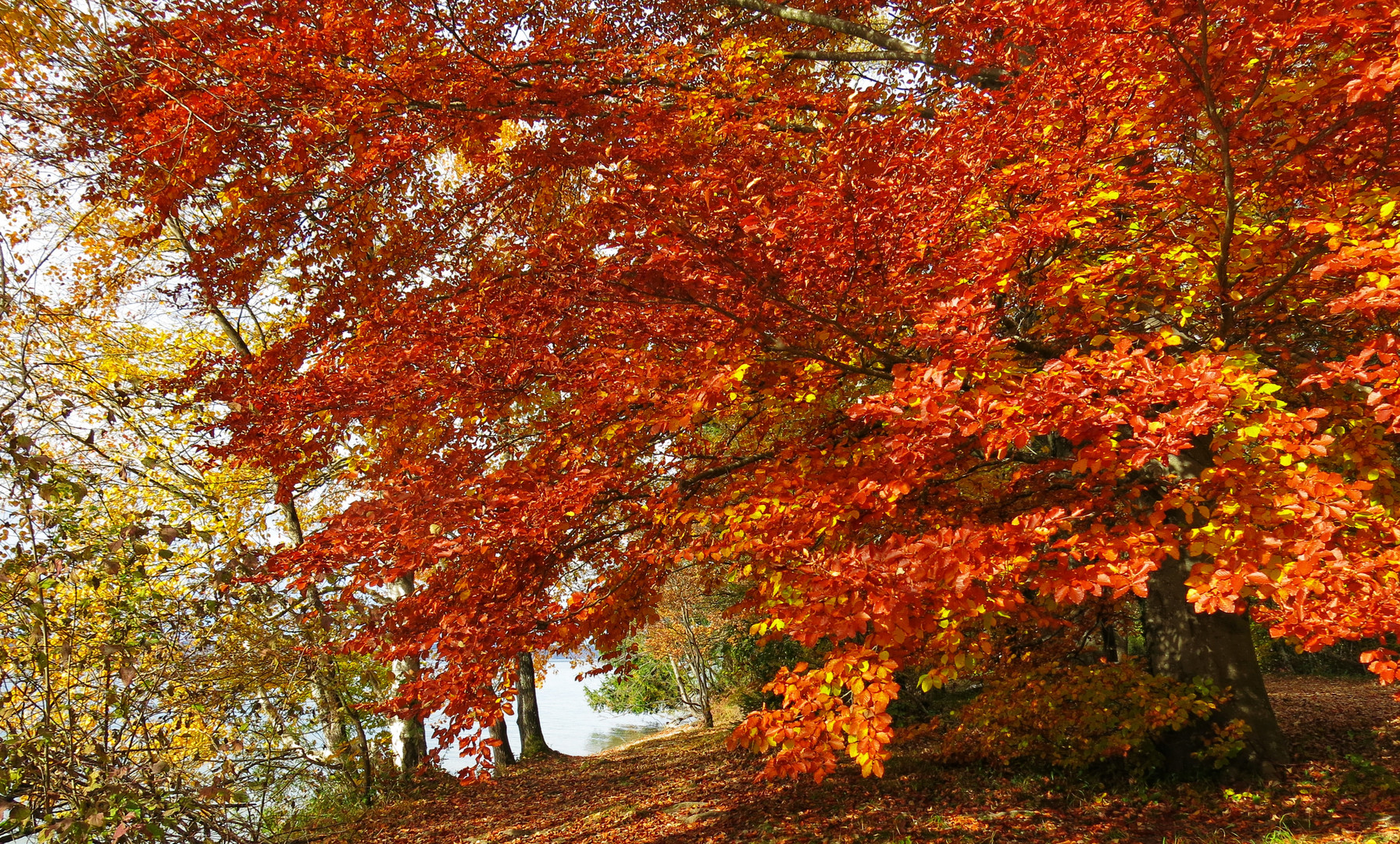 herbstfarben