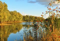 Herbstfarben