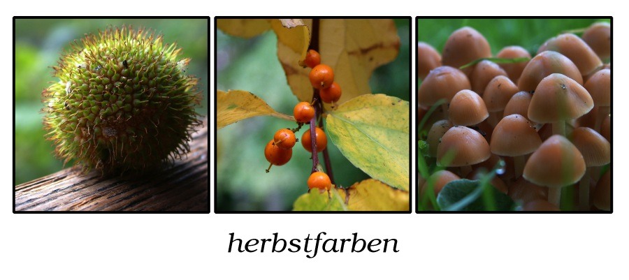 herbstfarben