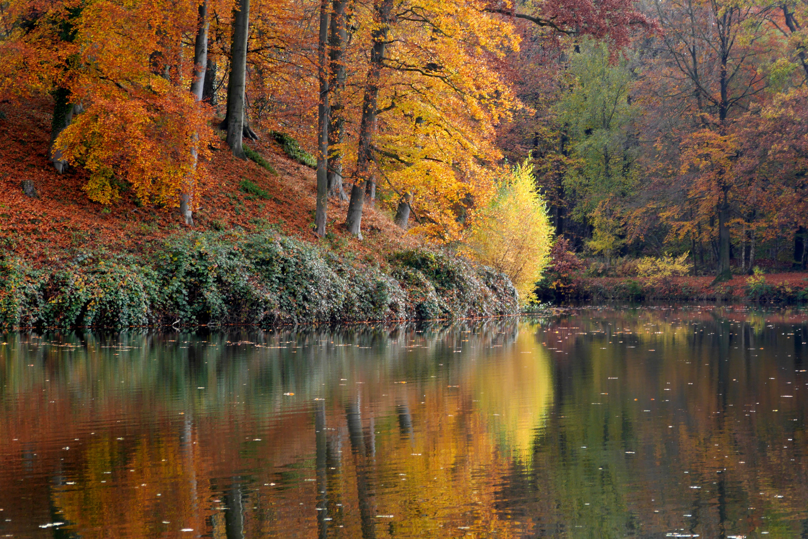 Herbstfarben