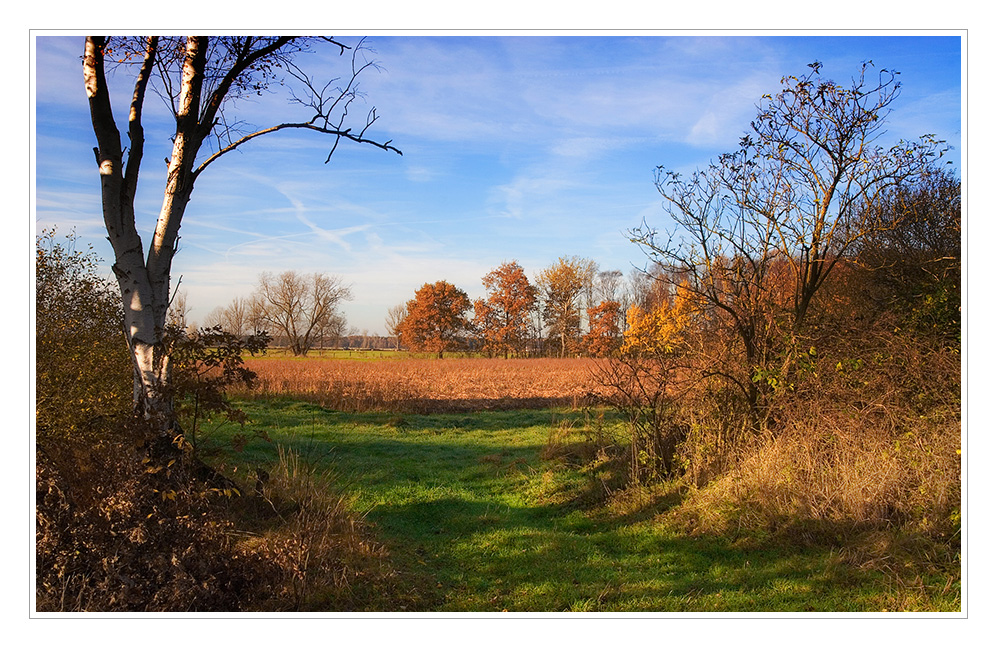 Herbstfarben