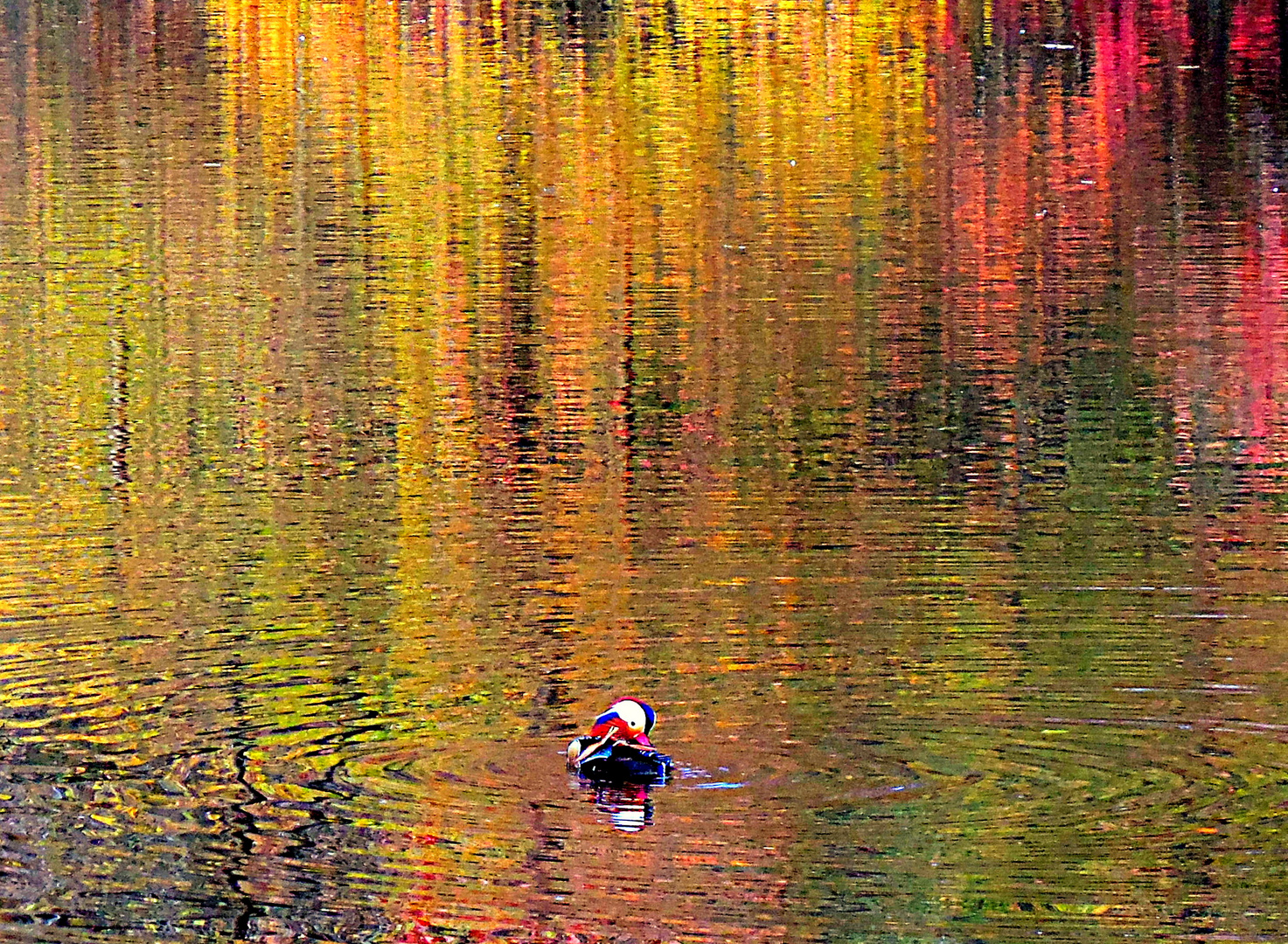 Herbstfarben