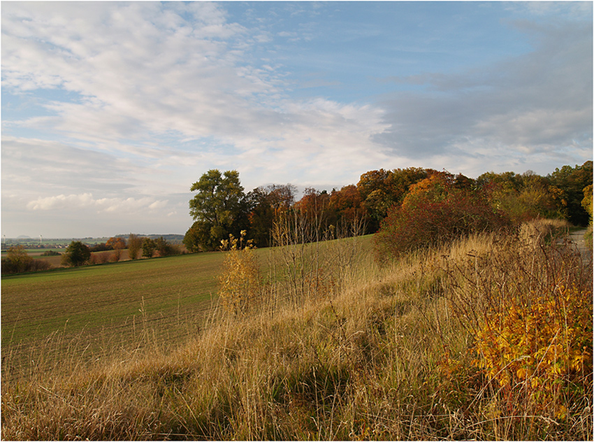 Herbstfarben