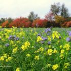 Herbstfarben