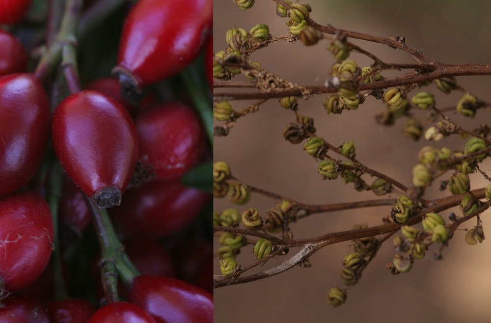 Herbstfarben