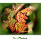 Herbstfarben