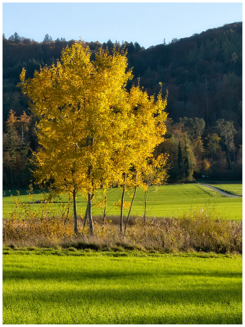 Herbstfarben 