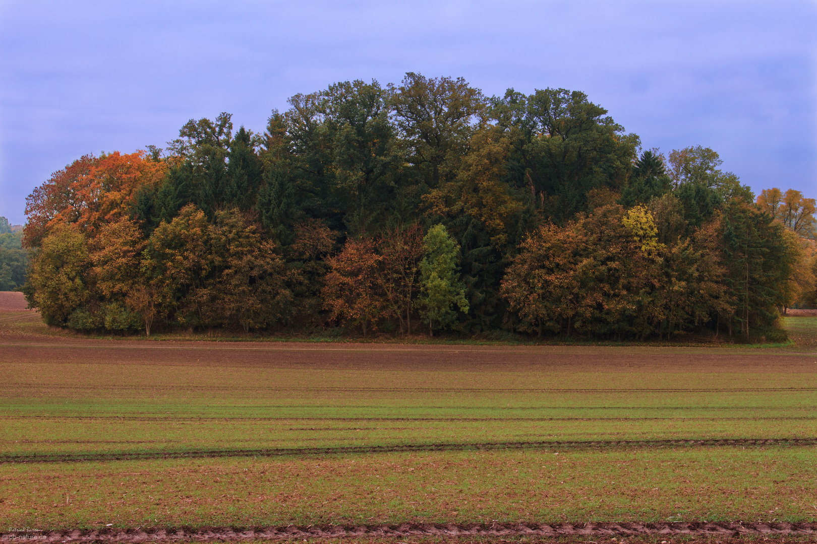 // Herbstfarben