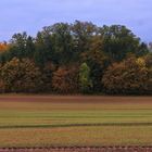 // Herbstfarben