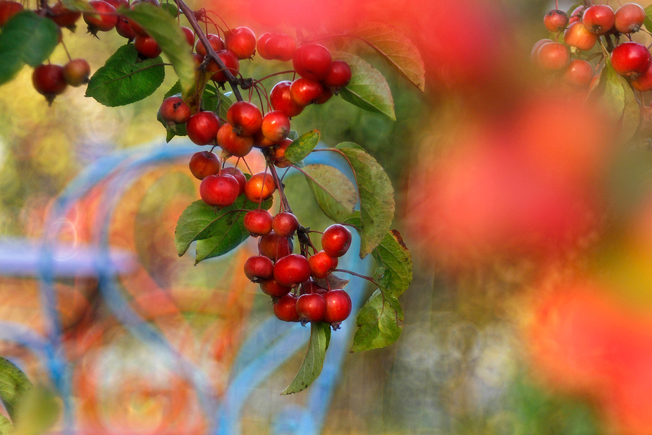 Herbstfarben