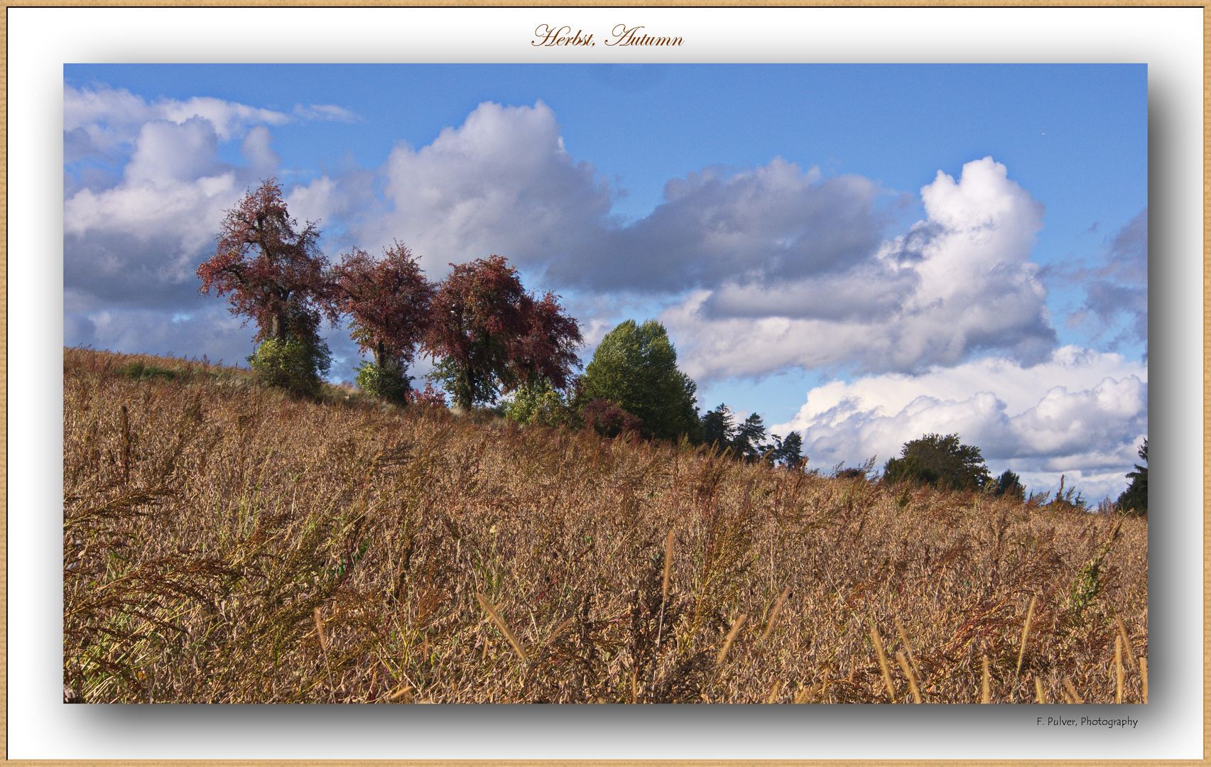 Herbstfarben