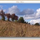 Herbstfarben