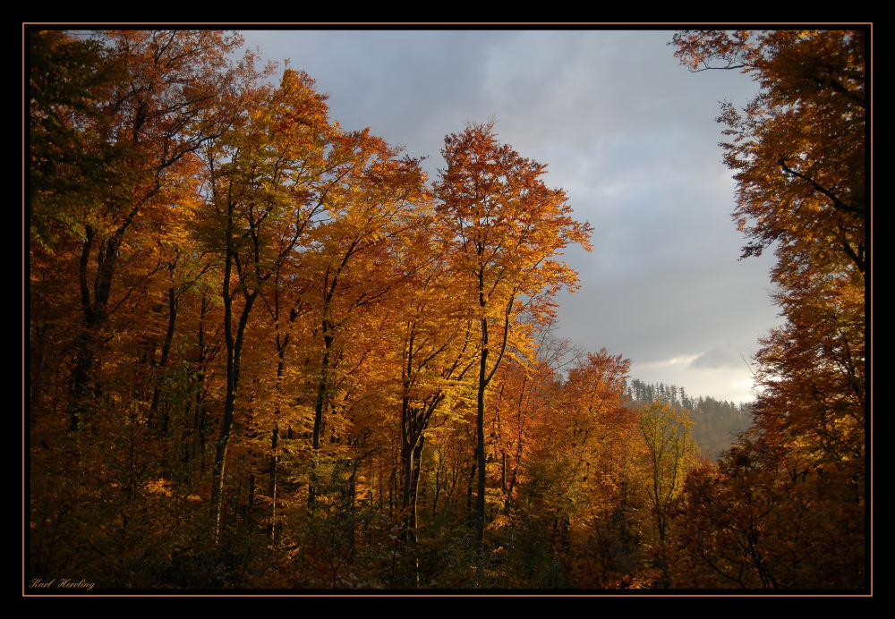 Herbstfarben