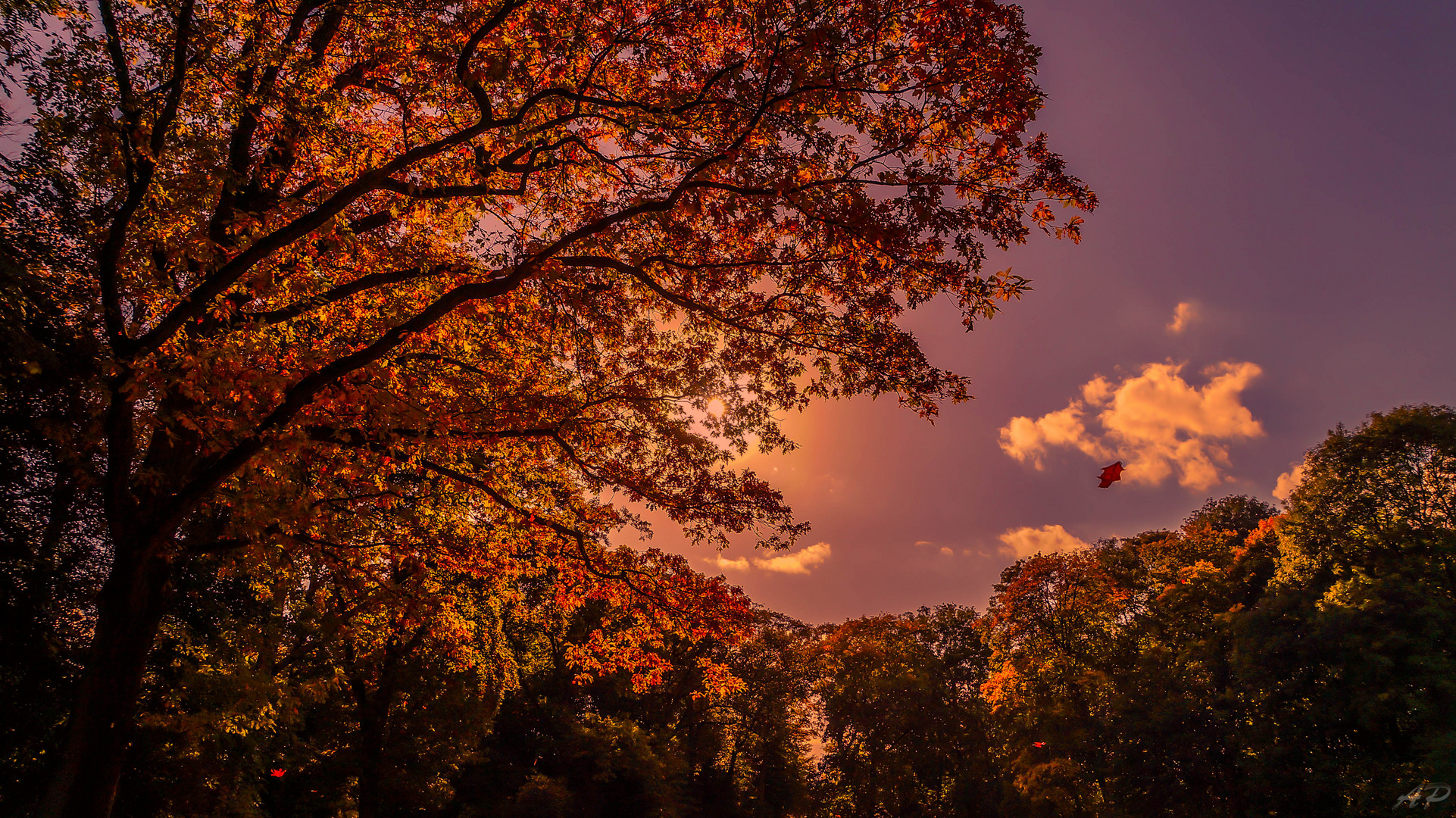 Herbstfarben