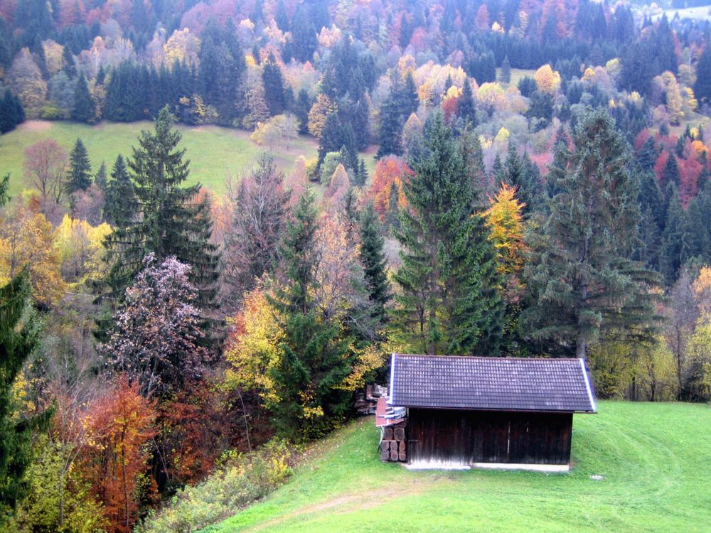 Herbstfarben