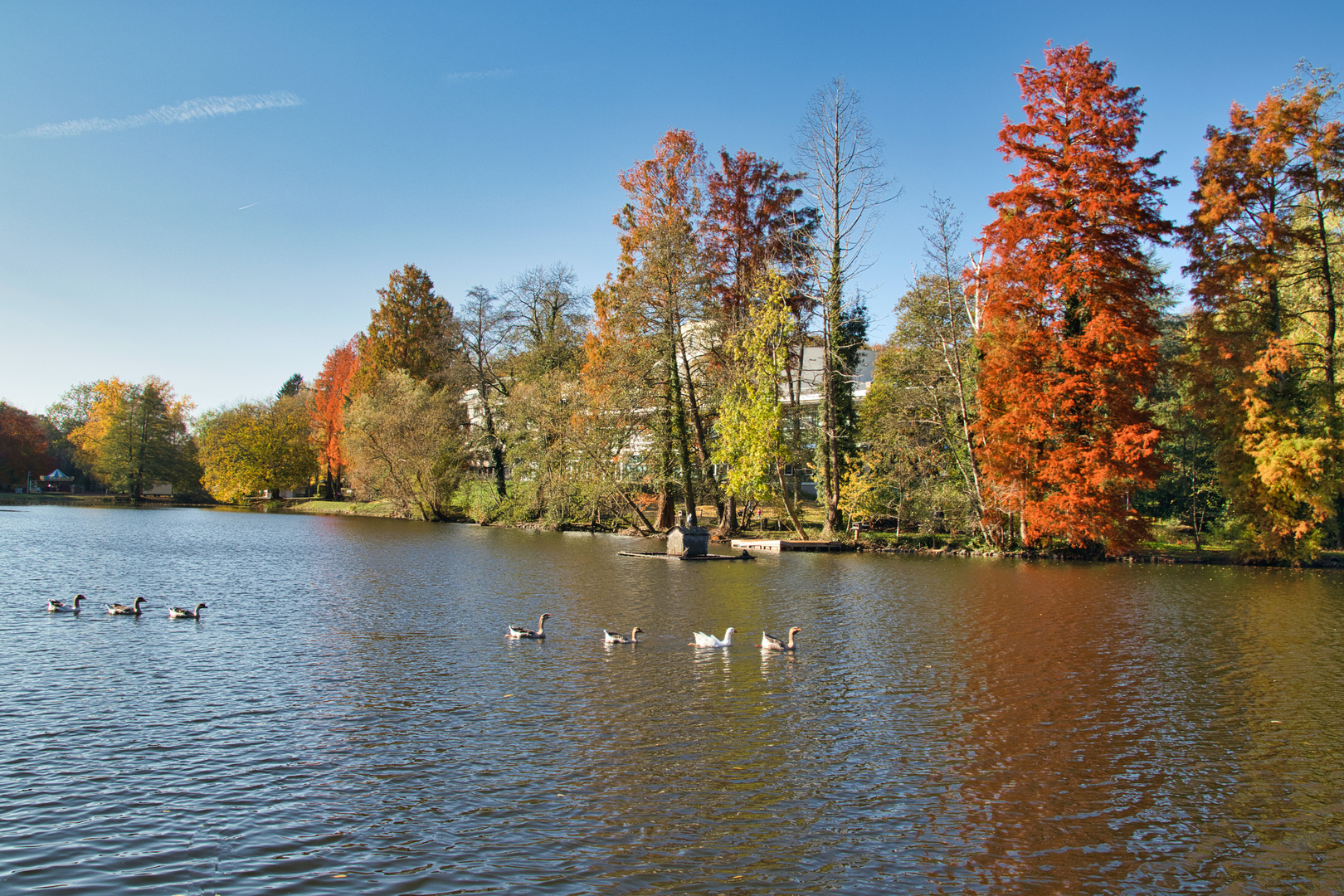 Herbstfarben