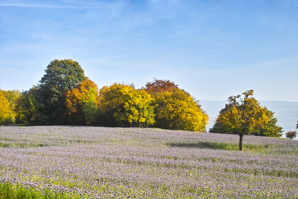 Herbstfarben