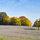 Herbstfarben