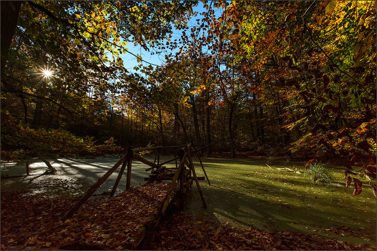 Herbstfarben