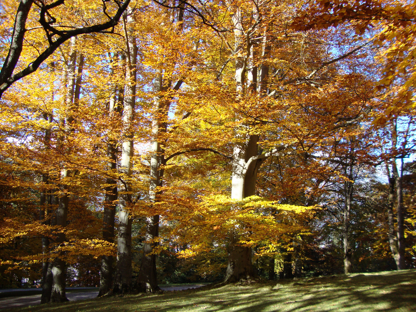 Herbstfarben.