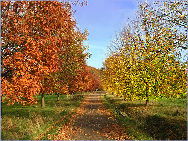 Herbstfarben