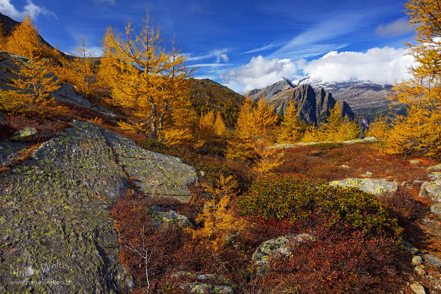 Herbstfarben