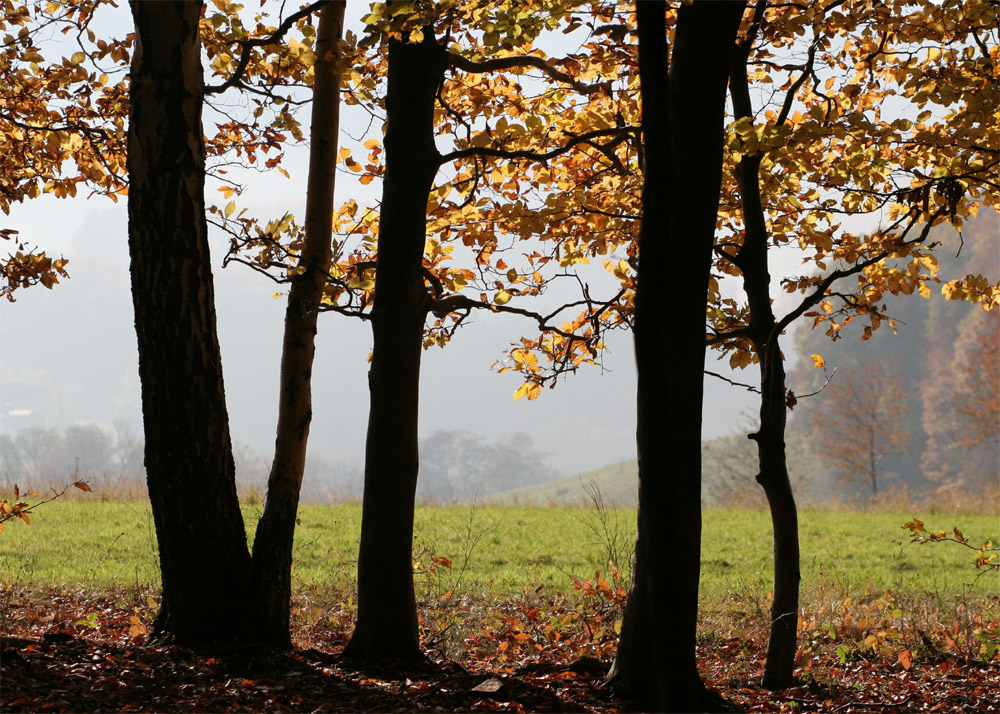 Herbstfarben