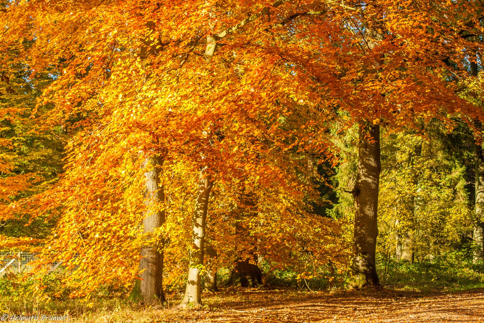 Herbstfarben