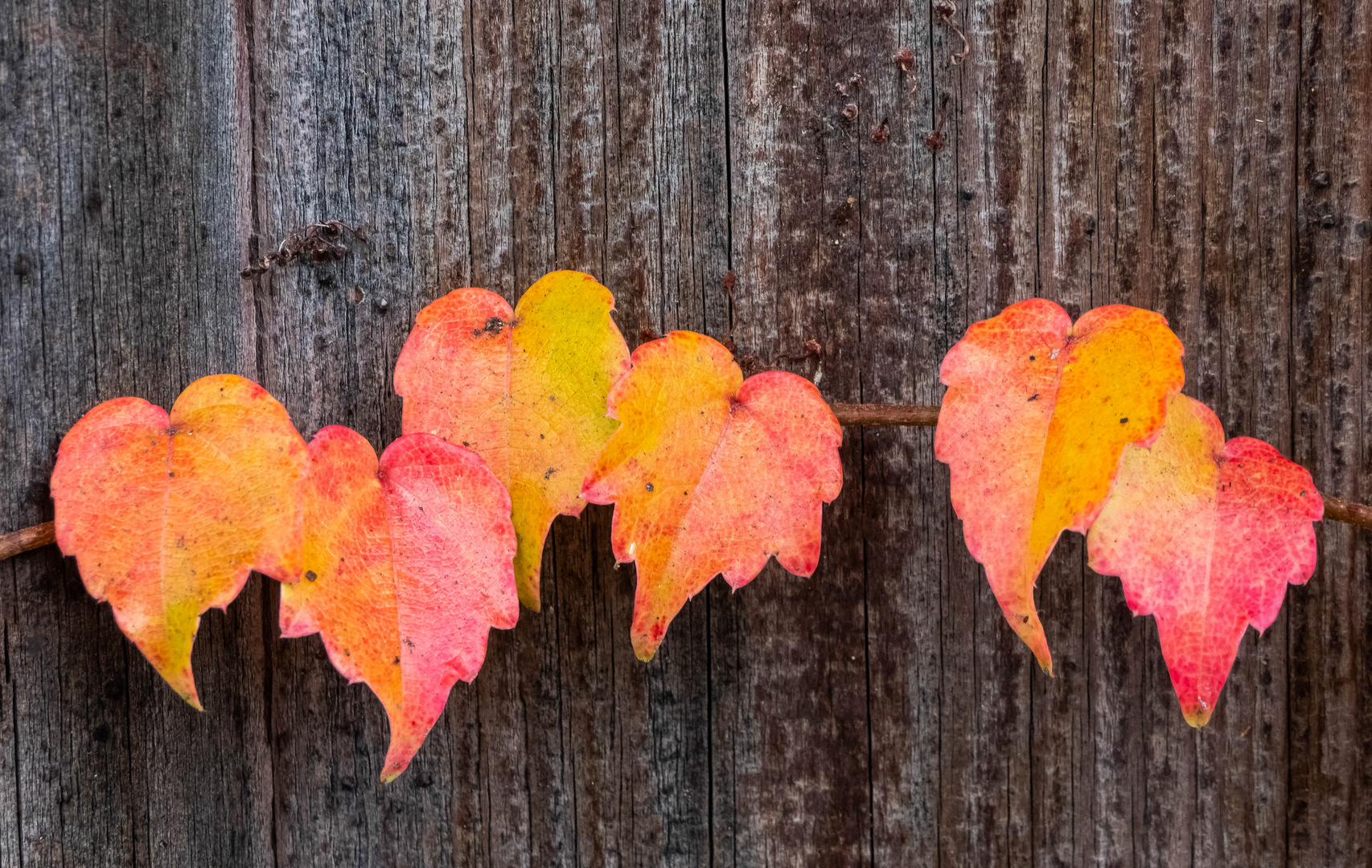 Herbstfarben