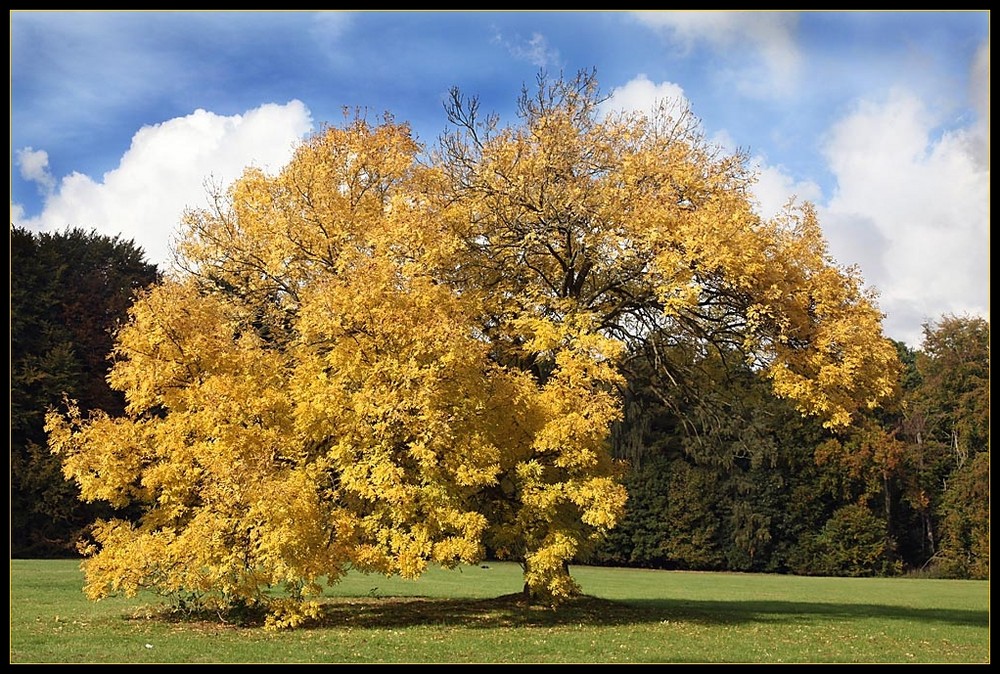 Herbstfarben