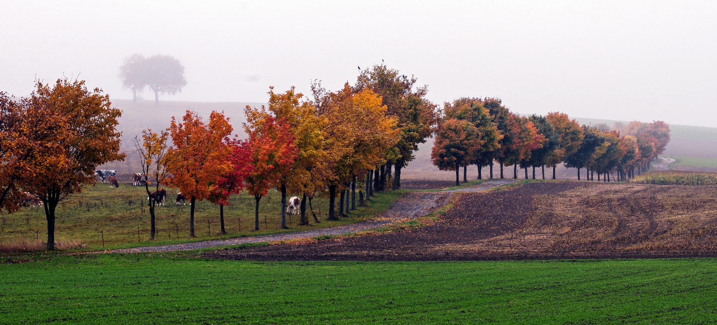 Herbstfarben