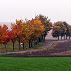 Herbstfarben