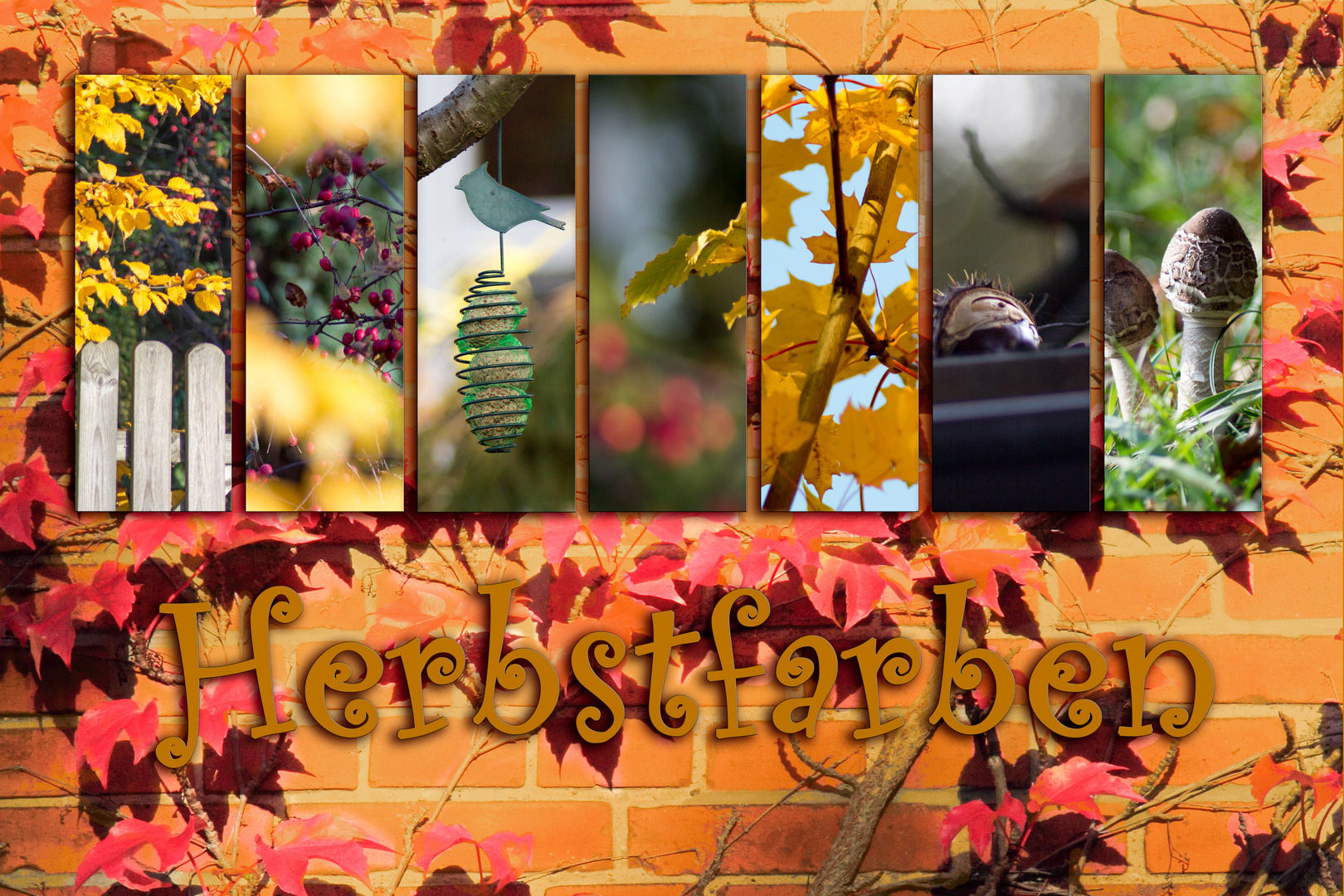 Herbstfarben