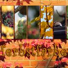 Herbstfarben