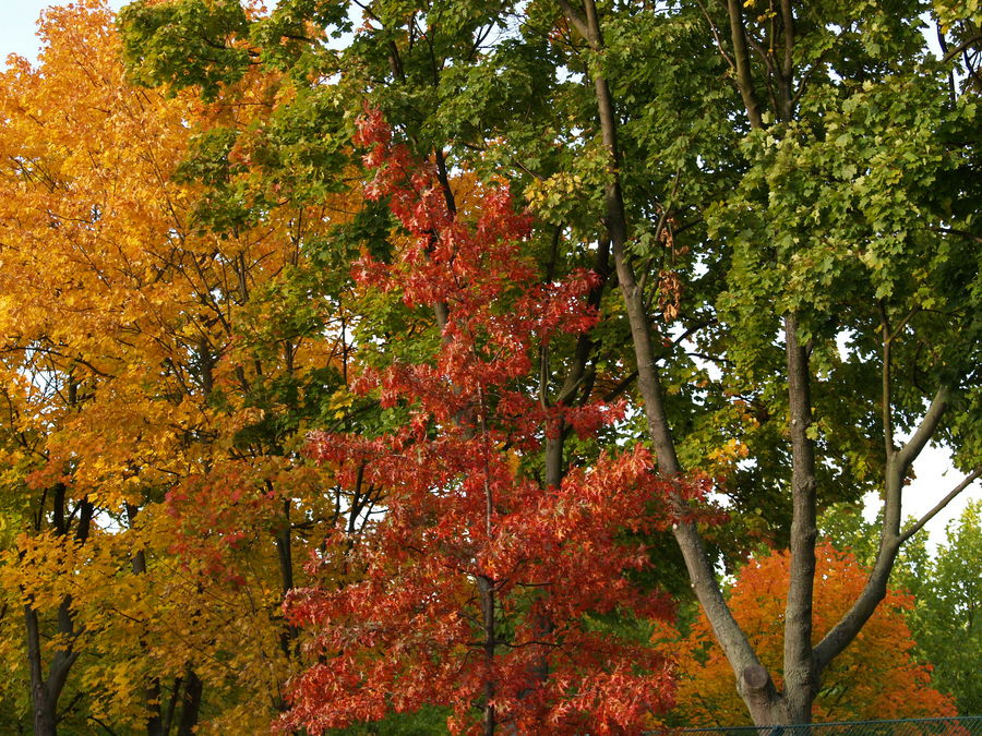 Herbstfarben