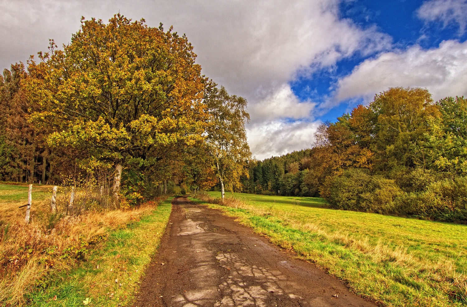 Herbstfarben