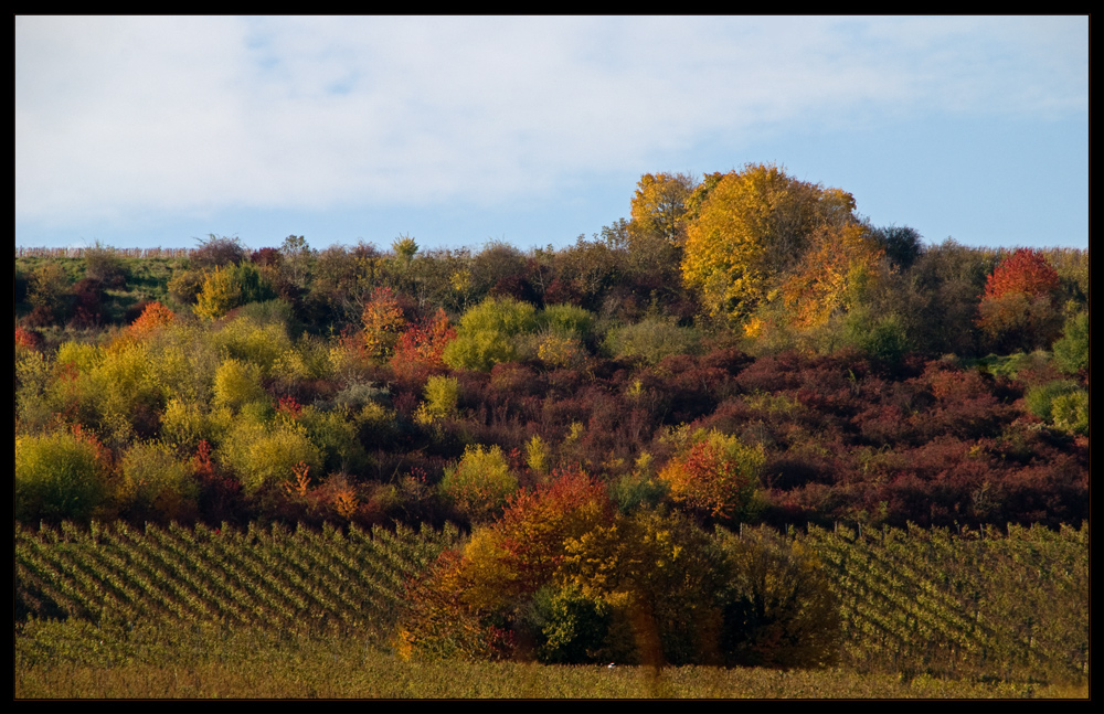 Herbstfarben