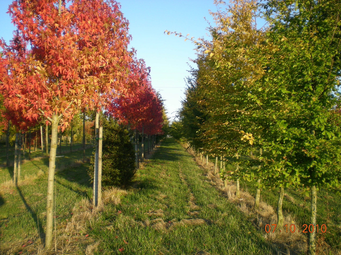 Herbstfarben