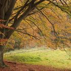 Herbstfarben -  einfach herrlich!